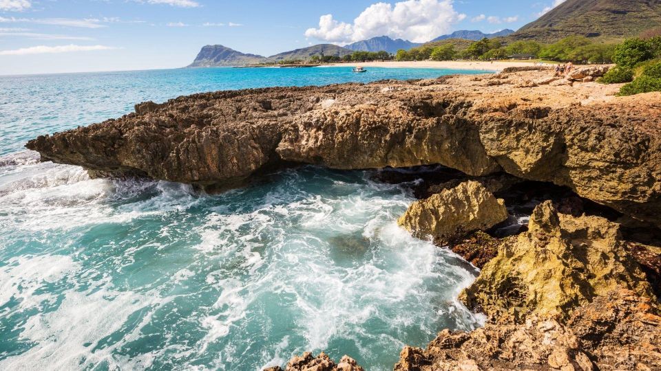 Oahu Circle Island Tour - Best Spots & Beaches - Macadamia Nut Farm: Tastings, Shopping Time, and a Real-World Break