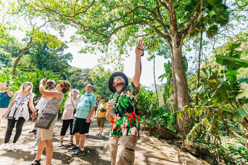 Oahu: Circle Island Tour with Lunch & Waimea Waterfall - The real value: a full circle that doesn’t feel chaotic