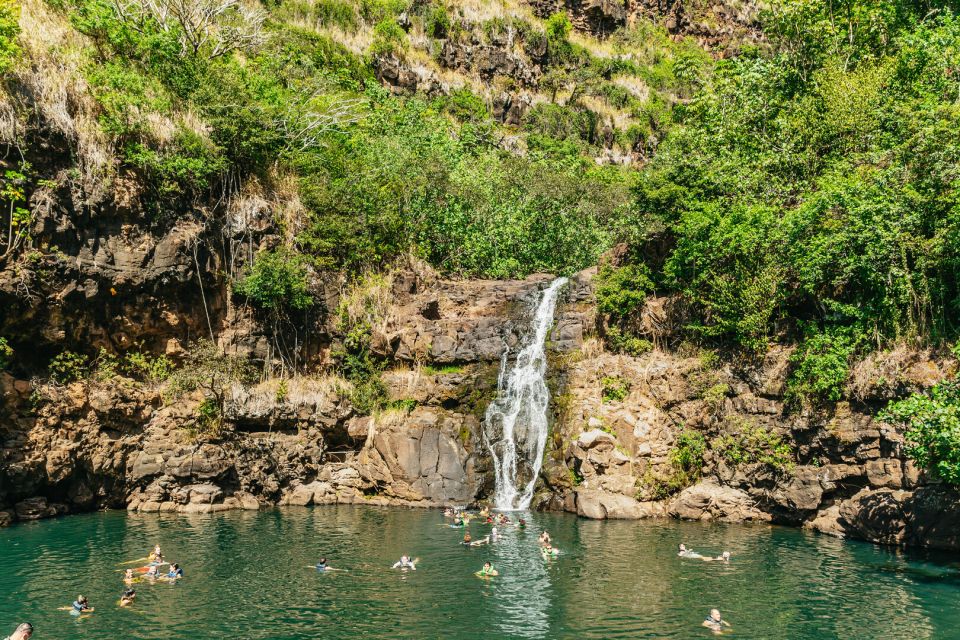 Oahu: Circle Island Tour with Lunch & Waimea Waterfall - Waimea Valley Arboretum and Waterfall: nature time that’s worth the shoes