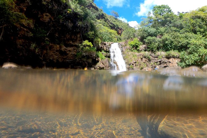 Oahu Custom Private Circle Island and Mini Circle Island Tours - Pricing and Group Size: What You’re Really Paying For