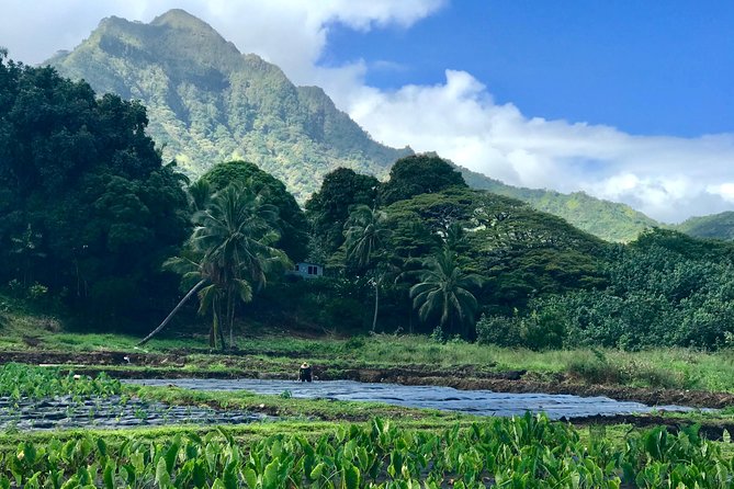 Oahu Customizable Private Community Service Voluntourism Offer - Voluntour value: service credit plus a private Oahu day