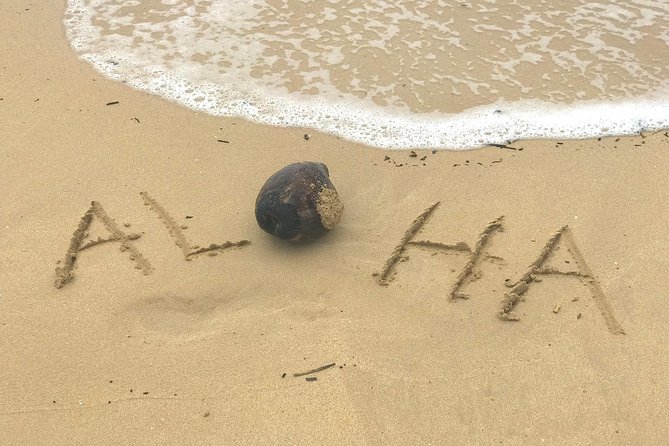 Oahu Customizable Private Community Service Voluntourism Offer - Diamond Head to Halona Blowhole: classic Oahu contrasts