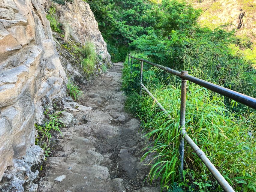 Oahu: Diamond Head Crater Trailhead Transfer & Entry Fee - Should you book this Diamond Head transfer and entry fee option?