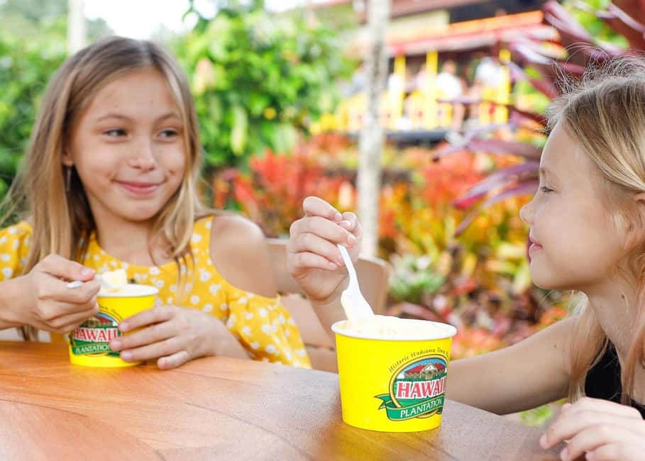 Oahu: Dole Plantation & Haleiwa Express Deluxe Tour - Riding north: how the morning flow keeps stress low