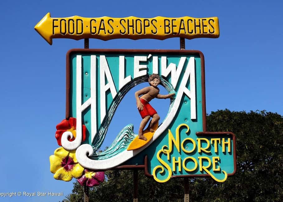 Oahu: Dole Plantation & Haleiwa Express Deluxe Tour - Price and value: when $100 feels fair