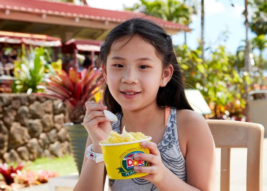 Oahu: Dole Plantation & Haleiwa Express Deluxe Tour - Who should book this tour (and who should skip it)