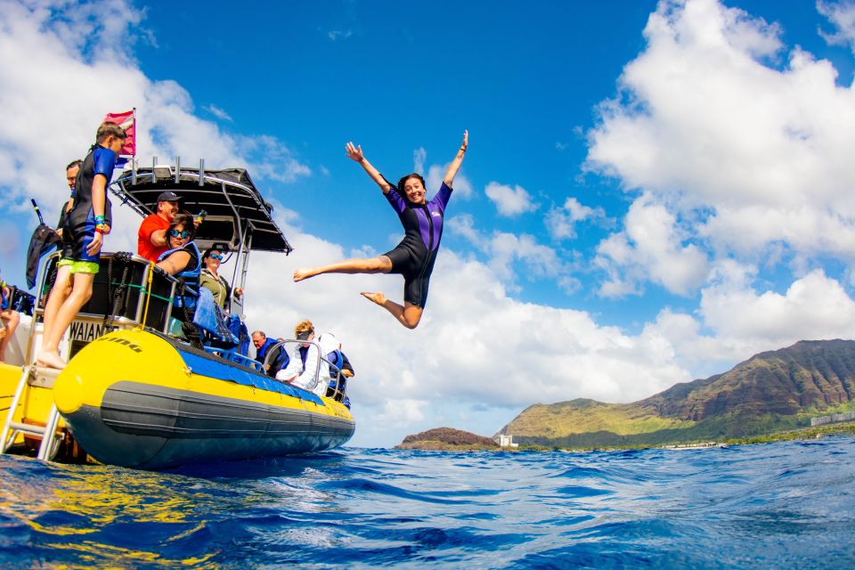 Oahu: Dolphin Swim and Turtle Snorkel Excursion in Waianae - Lunch, Gear, and What to Bring (So You Don’t Have to Borrow a Life)
