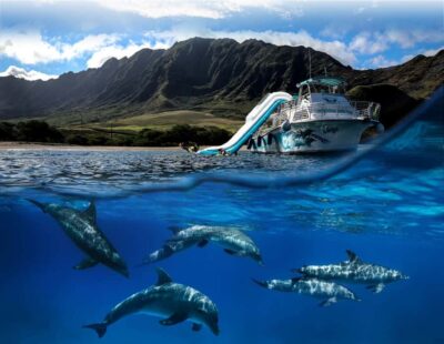 Oahu: Dolphin Watching & Turtle Snorkeling with Waterslide - The 3-hour flow: chant, safety talk, dolphins, then water