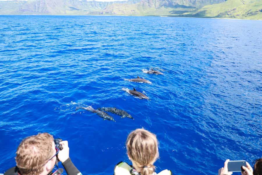 Oahu: Dolphin Watching & Turtle Snorkeling with Waterslide - Getting there: Waikiki and Ko Olina shuttles vs. self-drive parking