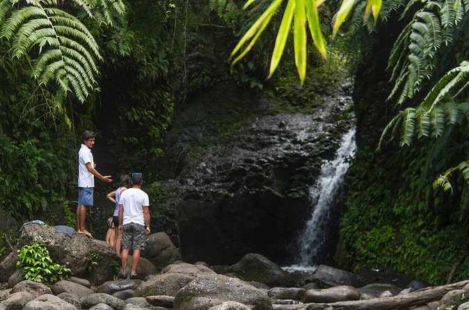 Oahu friendly hiking experience - Stop 4: Maunawili Falls for another waterfall fix