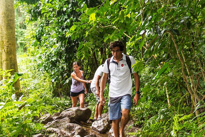 Oahu friendly hiking experience - Getting picked up in Waikiki (and keeping the schedule smooth)