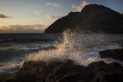 Oahu: Half-Day Sunrise Semi-private Tour from Waikiki - Waikiki Pickup: Early, But Not Confusing
