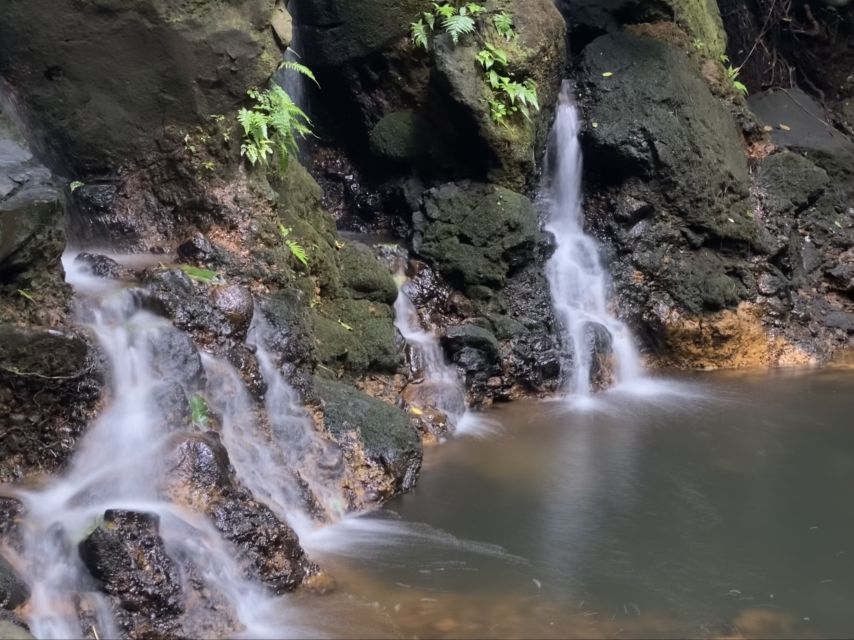 Oahu: Half-Day Sunrise Semi-private Tour from Waikiki - A Quick Word on Booking Reliability