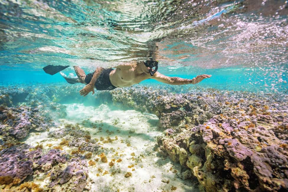 Oahu : Hanauma Bay Reservation+Equipment Rental - Key things to know before your Hanauma Bay day
