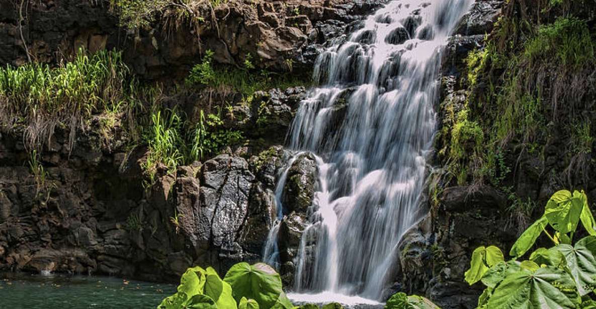 Oahu Hidden Gems & Waimea Botanical Garden/Waterfall tour - Why a guided Oahu loop is worth the seat on the bus
