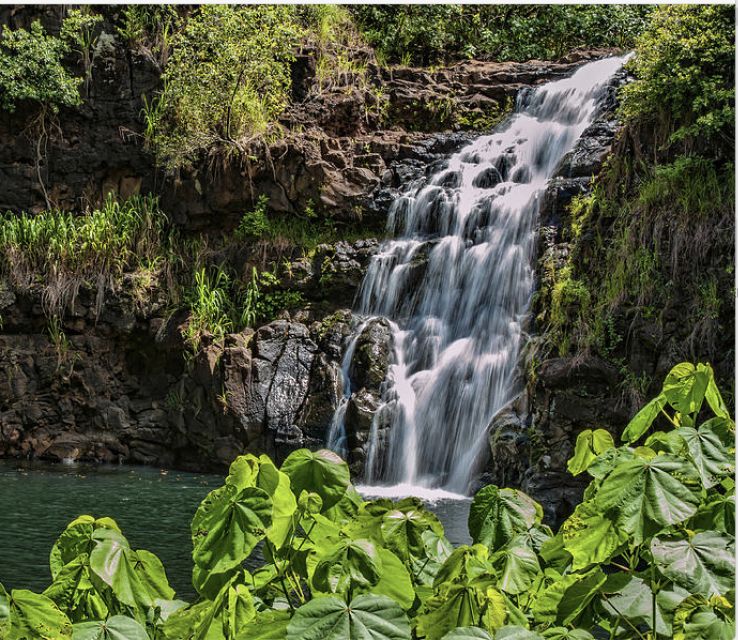 Oahu Hidden Gems & Waimea Botanical Garden/Waterfall tour - Pali Lookout and the “wow” stops outside Waikiki