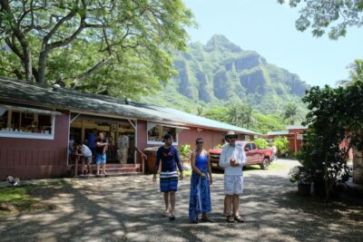Oahu Hidden Gems & Waimea Botanical Garden/Waterfall tour - Waimea Valley botanical garden and the waterfall swim (the main event)