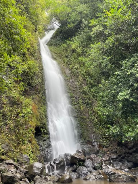 Oahu: Hidden Hawaii Waterfall Hike and Beach Tour - Stop 3 Lulumahu Falls: jungle hiking, wildlife, and a real waterfall moment