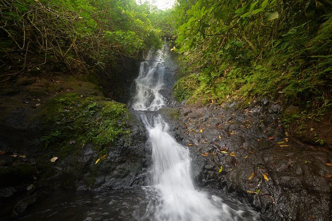 Oahu Hidden Waterfall Hike: A Tropical Paradise Adventure - 6 key things that make this waterfall hike worth your time