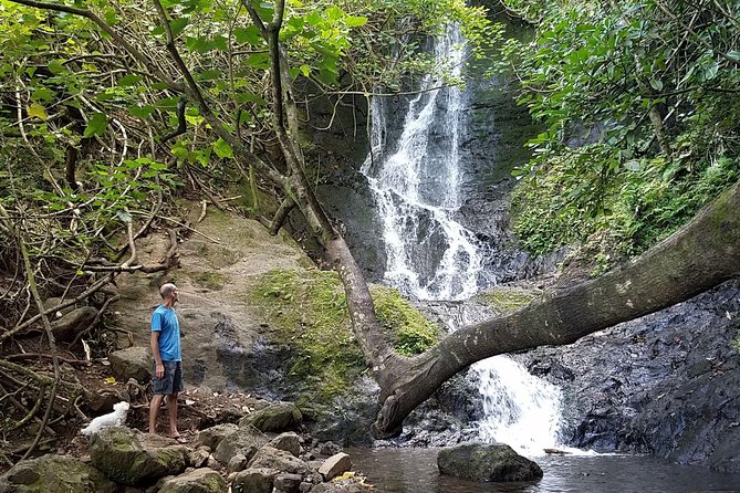 Oahu Hidden Waterfall Hike: A Tropical Paradise Adventure - Private pickup, no map stress, and a 3-hour day that stays flexible