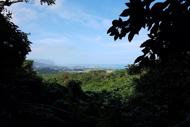 Oahu Hidden Waterfall Hike: A Tropical Paradise Adventure - Should you book this hidden Oahu waterfall hike?