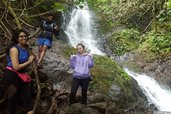 Oahu Hidden Waterfall Hike: A Tropical Paradise Adventure - The under-2-mile hike that still feels like a real rainforest walk