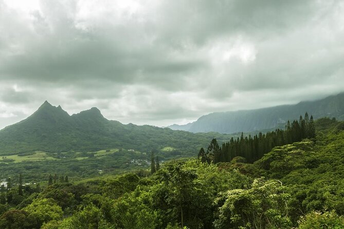 O‘ahu Highlights Private Guided Tour: Landmarks & Architecture - Key things that make this tour work