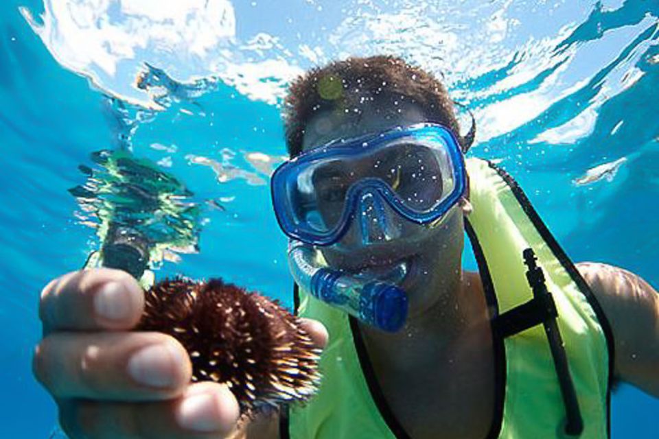 Oahu: Hilton Hawaiian Village Snorkel Tour - Key reasons this Oahu snorkel tour makes sense