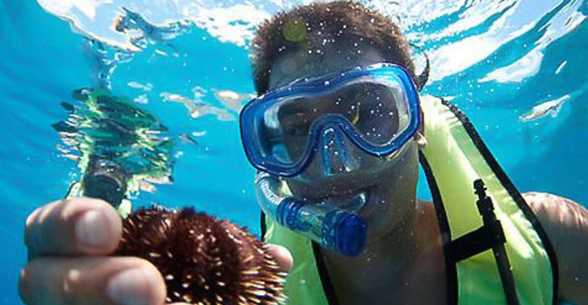 Oahu: Hilton Hawaiian Village Snorkel Tour - Waikiki cruise time: deck comfort and the rhythm of the day