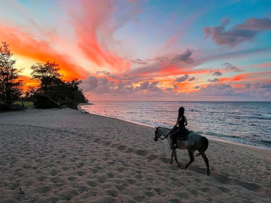 Oahu: Horseback Riding Tour on the North Shore - Key things to know before you ride
