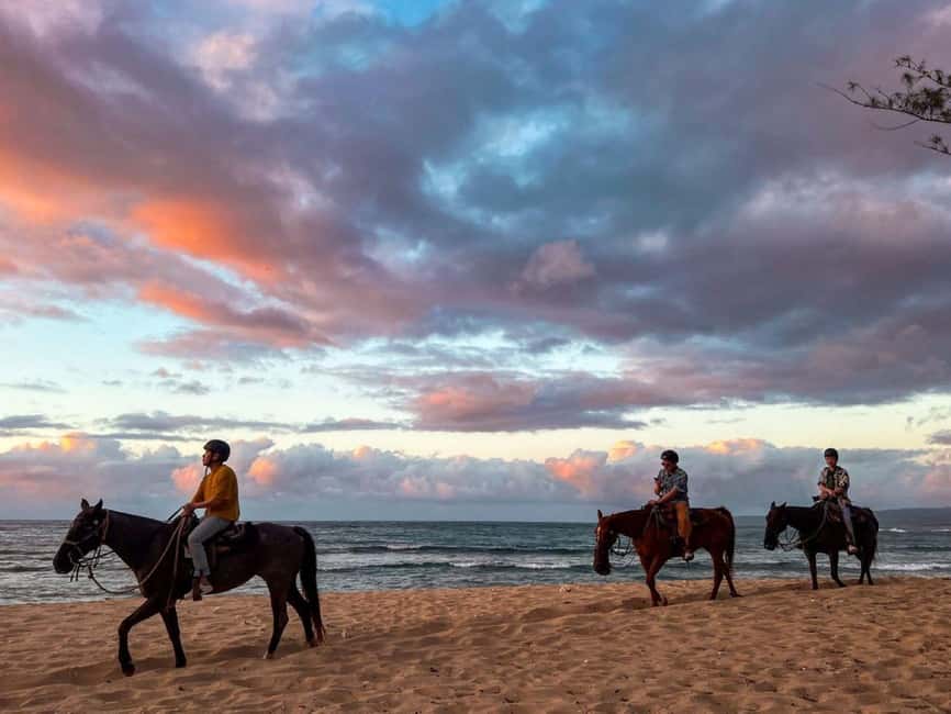 Oahu: Horseback Riding Tour on the North Shore - Golden Hour on Oahu’s North Shore With Working Polo Ponies