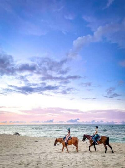 Oahu: Horseback Riding Tour on the North Shore - Price and what you actually get for $145