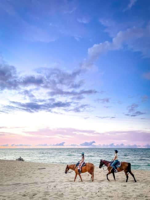 Oahu: Horseback Riding Tour on the North Shore - Price and what you actually get for $145
