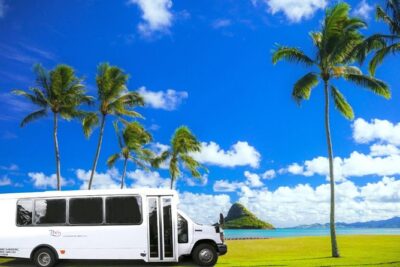 Oahu Island Full-Day Sightseeing Tour - Diamond Head and Hanauma Bay lookouts: quick views, big payoff