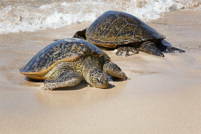 Oahu Island Photography Tour - North Shore winter surf and why that timing is a big deal