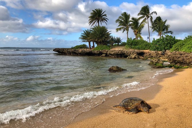 Oahu Island Photography Tour - Who the guide really matters: you’ll see different teaching styles