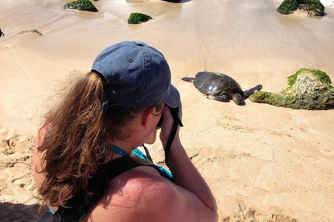 Oahu Island Photography Tour - Price and value: $150 for a full-day photo education day