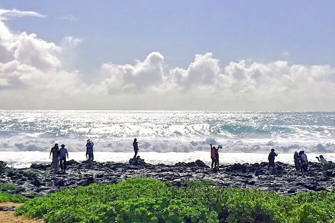 Oahu Island Sightseeing and Food Combo Tour - Byodo-in Temple and Kualoa Regional Park: culture plus the film-and-photo factor
