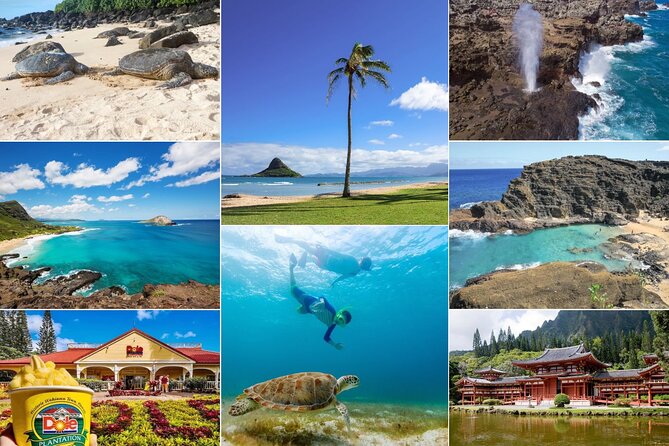 Oahu Island Tour: 13 ppl Max, Snorkel at Turtle Beach + Lunch - Key Highlights Worth Planning For