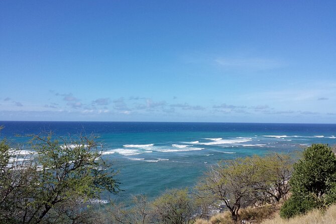 Oahu Island Tour: 13 ppl Max, Snorkel at Turtle Beach + Lunch - A Fast-Paced Oahu Sampler With North Shore Flavor