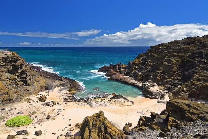 Oahu Island Tour: 13 ppl Max, Snorkel at Turtle Beach + Lunch - Eternity Beach and Makapu‘u Point: Coastline Beauty Without the Crowds You Think You’ll Get