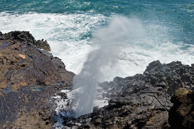Oahu Island Tour: 13 ppl Max, Snorkel at Turtle Beach + Lunch - Kahuku Shrimp and Macadamia Nuts: The North Shore Stops People Actually Remember