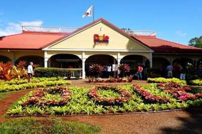 Oahu Island Tour, Dole plantation ,Northshore,VIP,PRIVATE - Diamond Head and Koko Crater: the volcanic viewpoint setup