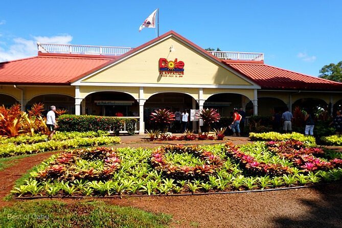 Oahu Island Tour, Dole plantation ,Northshore,VIP,PRIVATE - Diamond Head and Koko Crater: the volcanic viewpoint setup