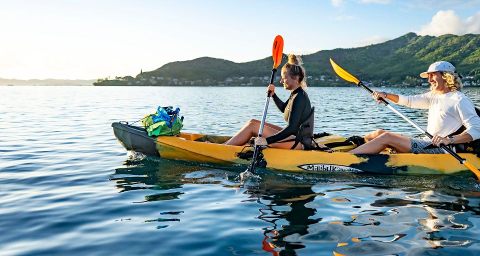 Oahu: Kaneohe Bay Coral Reef Kayaking Rental - Kaneohe Bay reef kayaking: why this feels special