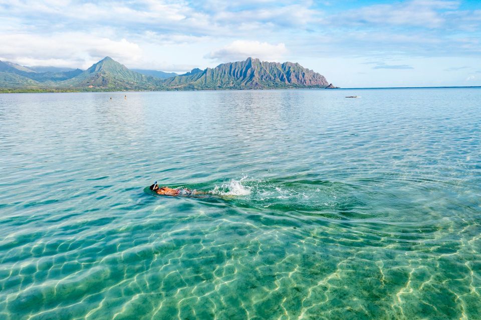 Oahu: Kaneohe Bay Coral Reef Kayaking Rental - Getting to Active Oahu Tours in Kailua and launching fast