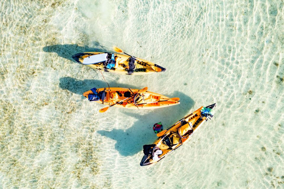 Oahu: Kaneohe Self-Guided Sandbar Kayaking Experience - On the water in Kaneohe Bay: reef spotting at kayak speed