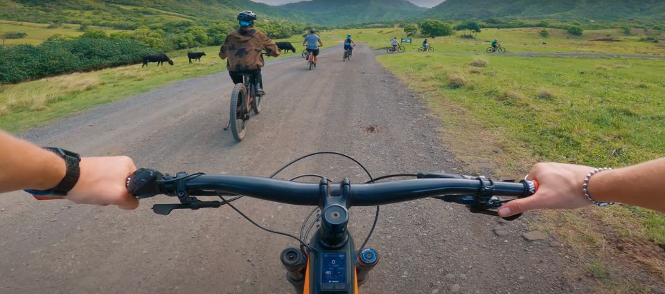 Oahu: Kualoa Electric Bike Tour - Should you book the Kualoa Electric Bike Tour?