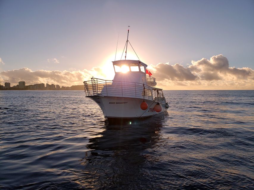 Oahu Night Dive: Adventure for Certified Divers - Key highlights that make this night outing worth your time