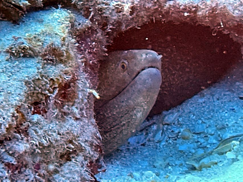 Oahu Night Dive: Adventure for Certified Divers - How to prepare so night conditions feel fun, not stressful